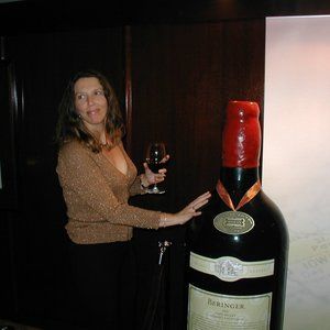 Metallic fitted night out gold shir size L